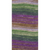 Пряжа Step 6 Irish Rainbow Colours, 75% шерсть, 25% полиамид, 410 м, 150 г. Арт 97826-0630
