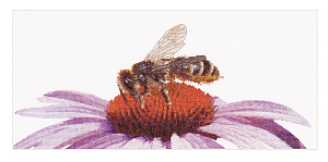 Набор для вышивания "Пчела на эхинацее", канва Aida 18 ct