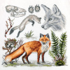 Набор для вышивания "Зоология. Лисица обыкновенная". Арт 03.014.17