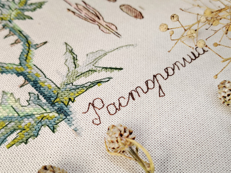 Набор для вышивания "Ботаника. Расторопша". Арт 03.015.20