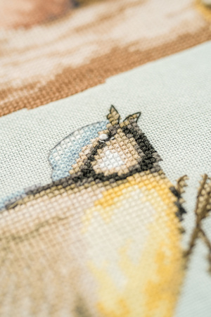 Набор для вышивания "Neighborhood meeting". Арт PN-0203363