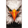 Набор для вышивания "Eagle"  . Арт PN-0199444