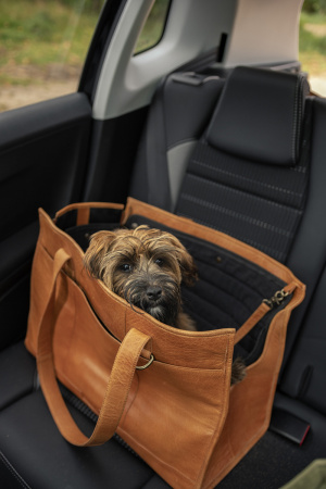 Сумка-переноска "Clara-XL" Whisky. Арт QB-4464R2/Whisky