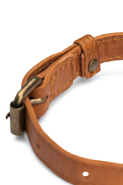 Ошейник "Cate" Whisky, 35 см. Арт QB-4488/35cm/Whisky