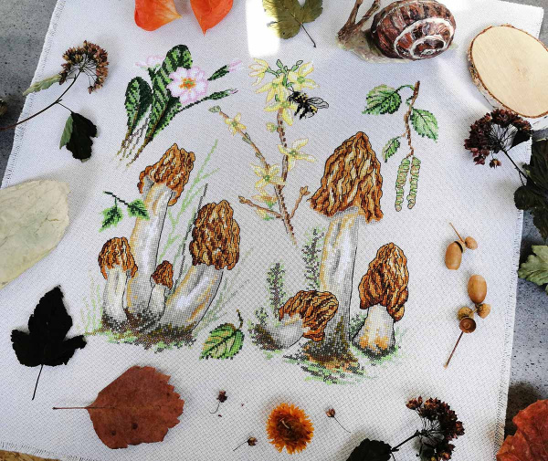 Набор для вышивания "Сморчки". Арт 04.012.09