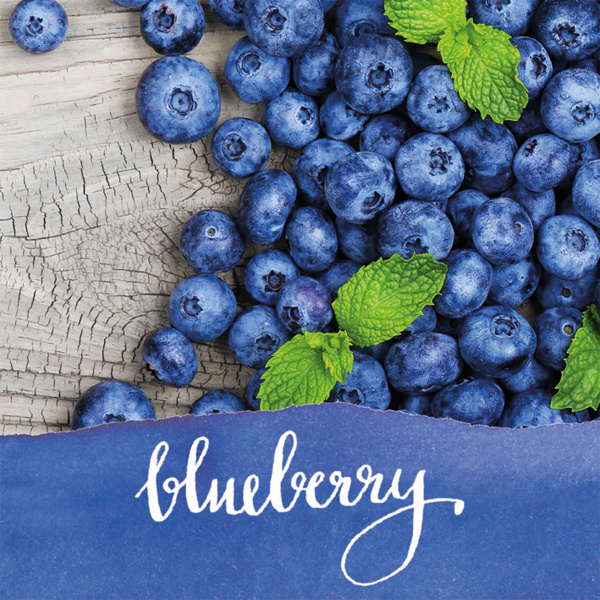 Чернила "Ink of the Senses" для перьевых ручек, 15 мл, с ароматом голубики, цвет синий. Арт 17060/3