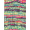 Пряжа Step 6 Irish Rainbow Colours, 75% шерсть, 25% полиамид, 410 м, 150 г. Арт 97826-0742