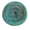 Пряжа Step Merino 6-fath Gots, 100% шерсть, 400 м, 150 г. Арт 90337-0110