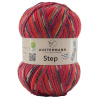 Пряжа Step, 75% шерсть, 25% полиамид, 420 м, 100 г. Арт 97689-0256