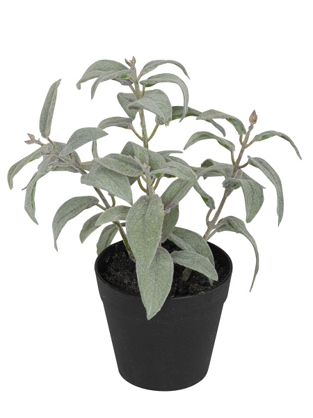 Цветок декоративный в кашпо "Шалфей". Арт 106230-801