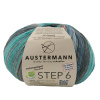 Пряжа Step 6 Irish Rainbow Colours, 75% шерсть, 25% полиамид, 410 м, 150 г. Арт 97826-0629