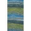 Пряжа Step 6 Irish Rainbow Colours, 75% шерсть, 25% полиамид, 410 м, 150 г. Арт 97826-0628