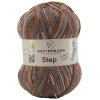 Пряжа Step, 75% шерсть, 25% полиамид, 420 м, 100 г. Арт 97689-0086