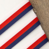 Лента репсовая PEGA, цвет триколор (белый, красный, синий), 20 мм. Арт 812711620DP001