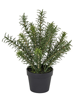 Цветок декоративный в кашпо "Розмарин". Арт 106287-800