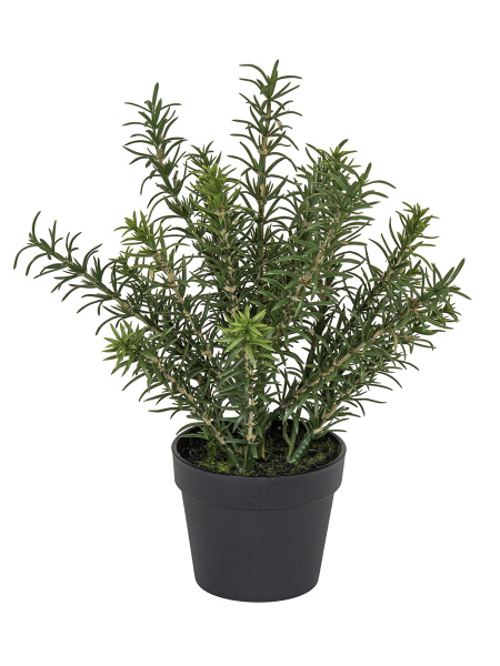 Цветок декоративный в кашпо "Розмарин". Арт 106287-800
