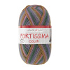 Пряжа Fortissima Socka 4-fach color, 75% шерсть, 25% полиамид, 420 м, 100 г. Арт 90028-2432