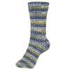 Пряжа Fortissima Socka 4-fach color, 75% шерсть, 25% полиамид, 420 м, 100 г. Арт 90028-2491