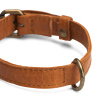 Ошейник "Cate" Whisky, 35 см. Арт QB-4488/35cm/Whisky