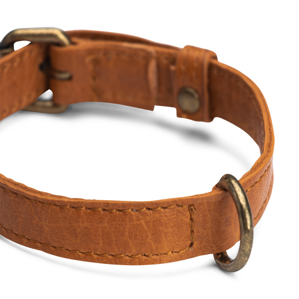 Ошейник "Cate" Whisky, 35 см. Арт QB-4488/35cm/Whisky
