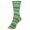 Пряжа Fortissima Socka 4-fach color, 75% шерсть, 25% полиамид, 420 м, 100 г. Арт 90028-2429