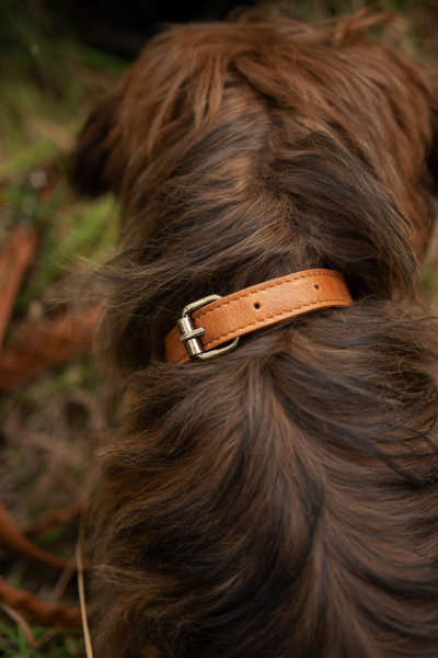 Ошейник "Cate" Black, 40 см. Арт QB-4488/40cm/Black