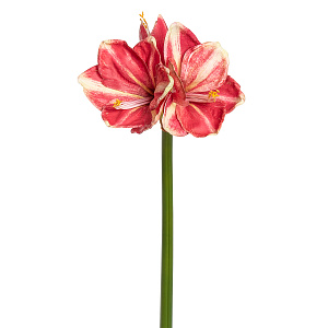 Цветок декоративный "Амариллис"
