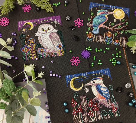 Набор для вышивания  "Ночная птица". Арт 13.003.48